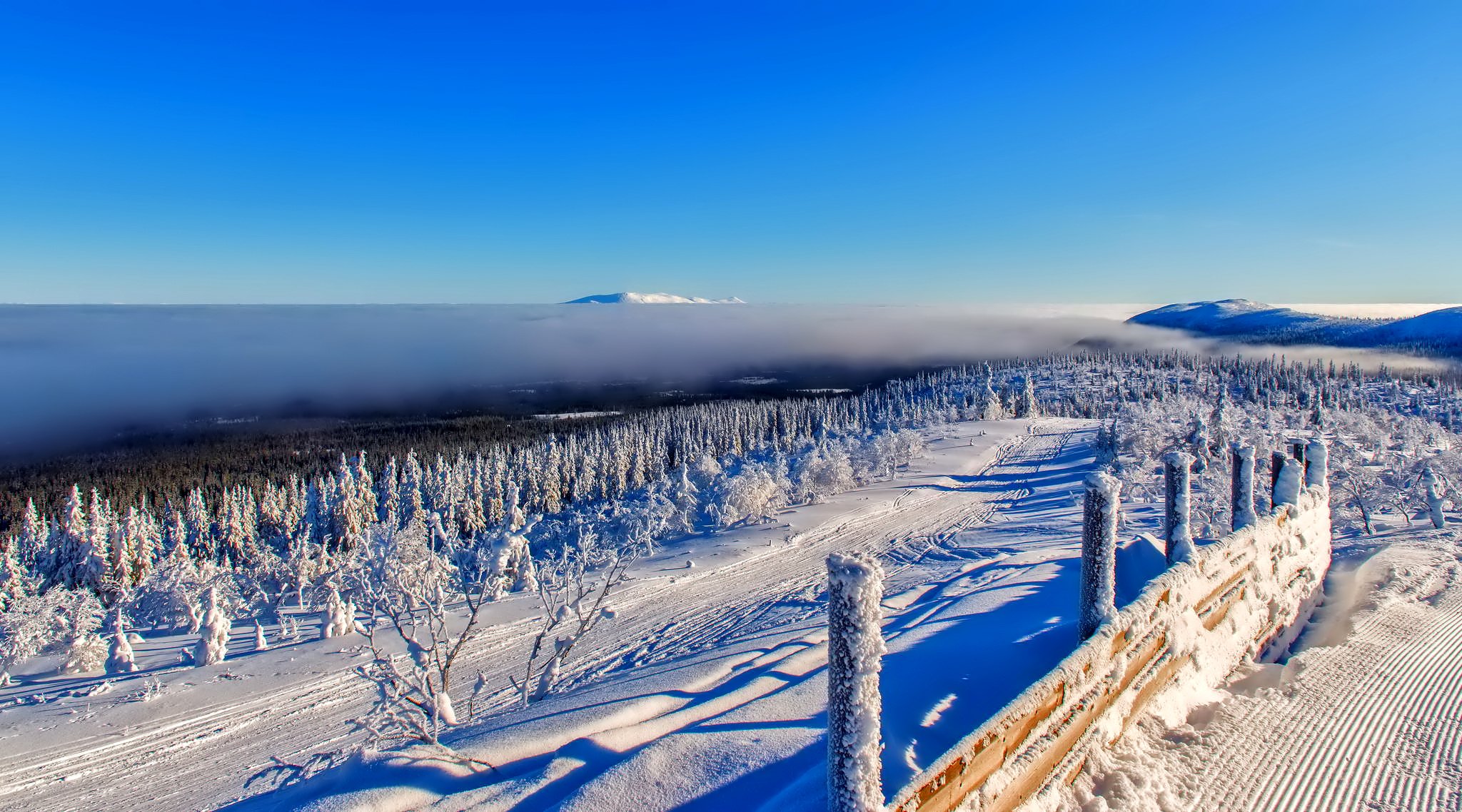 ciel montagnes horizon hiver nuages arbres forêt neige clôture