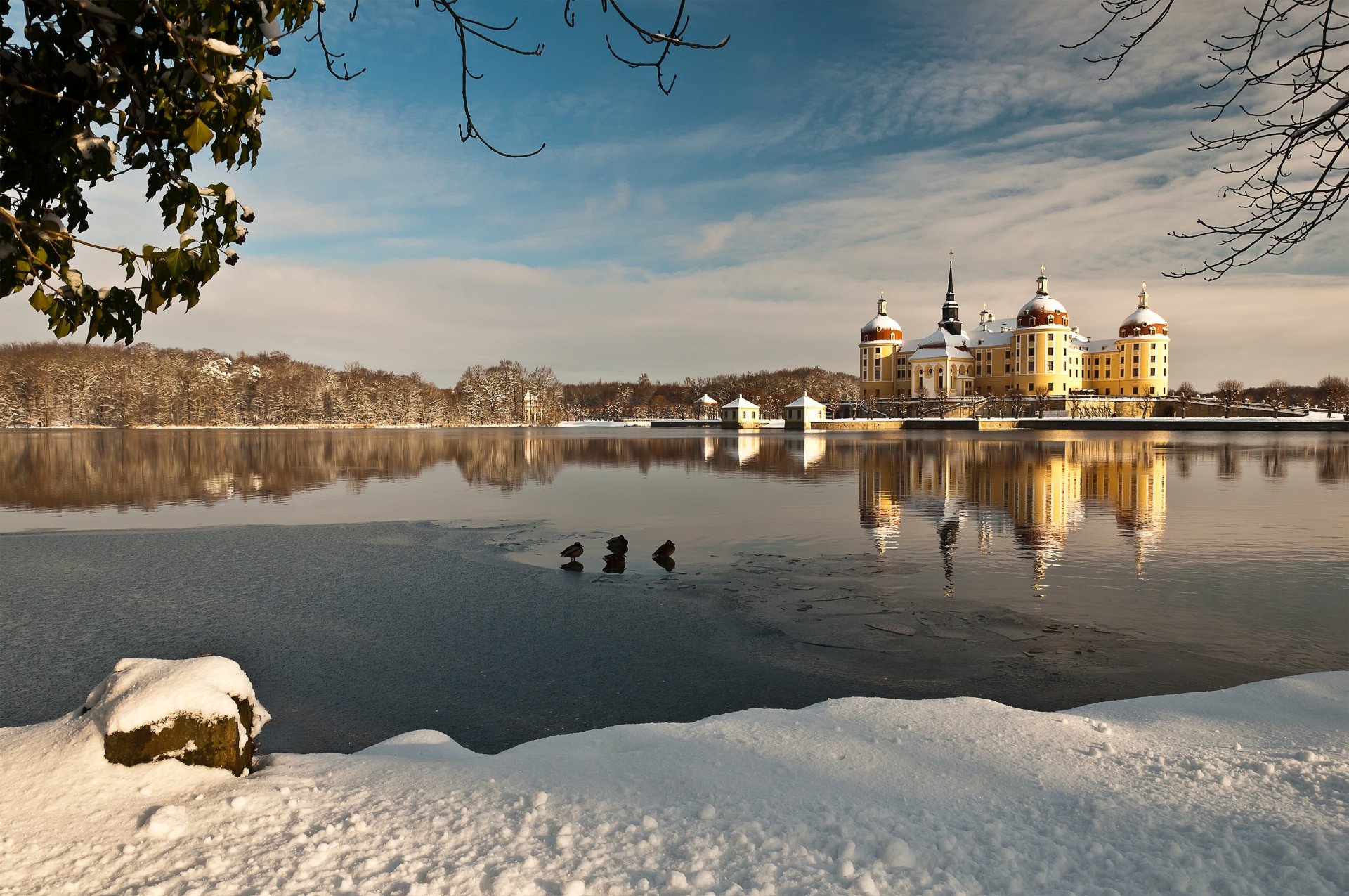 moritzburg castle germany lake reflection water winter snow