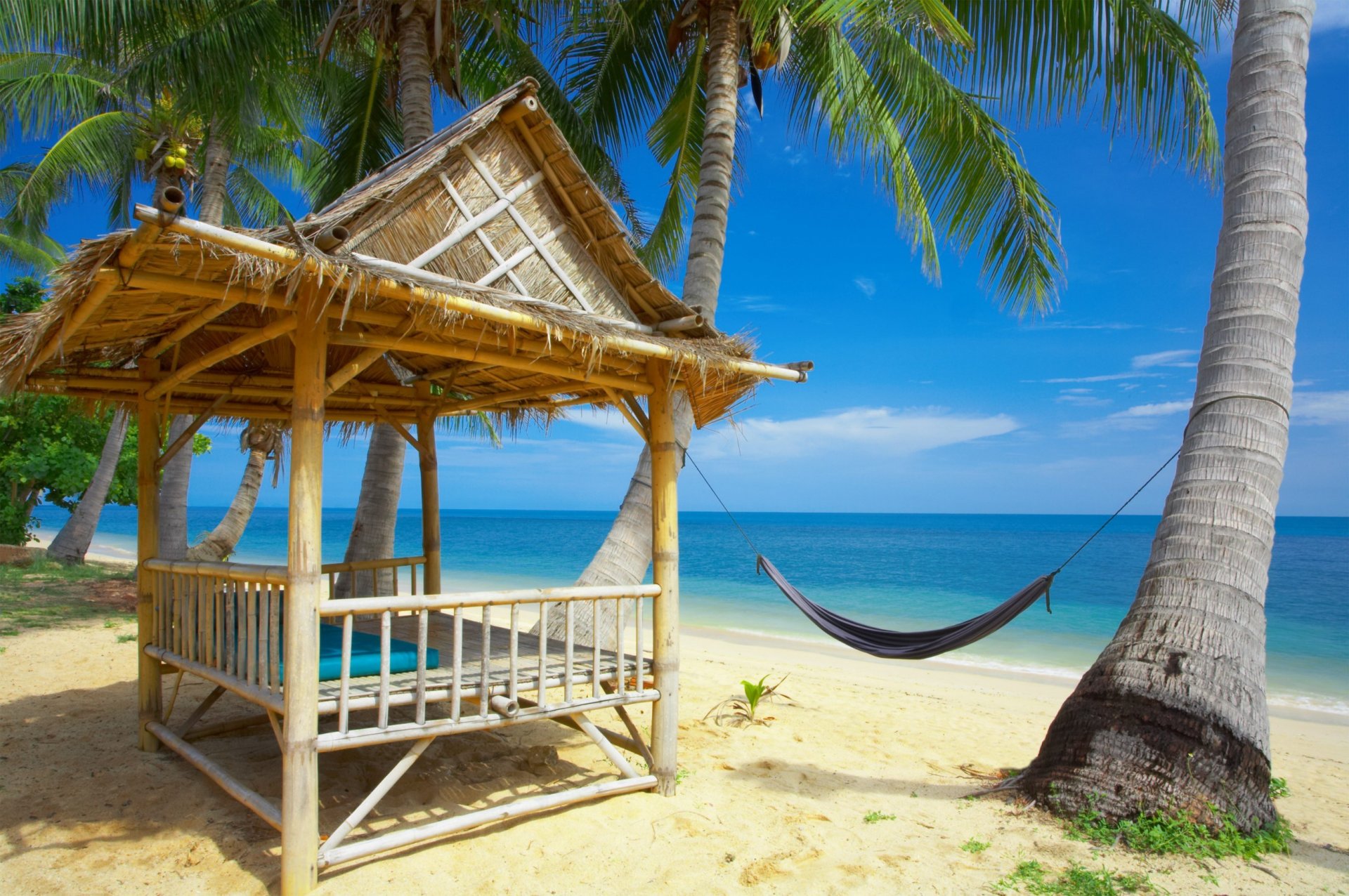 plage sable palmiers hamac bungalow océan ciel nuages