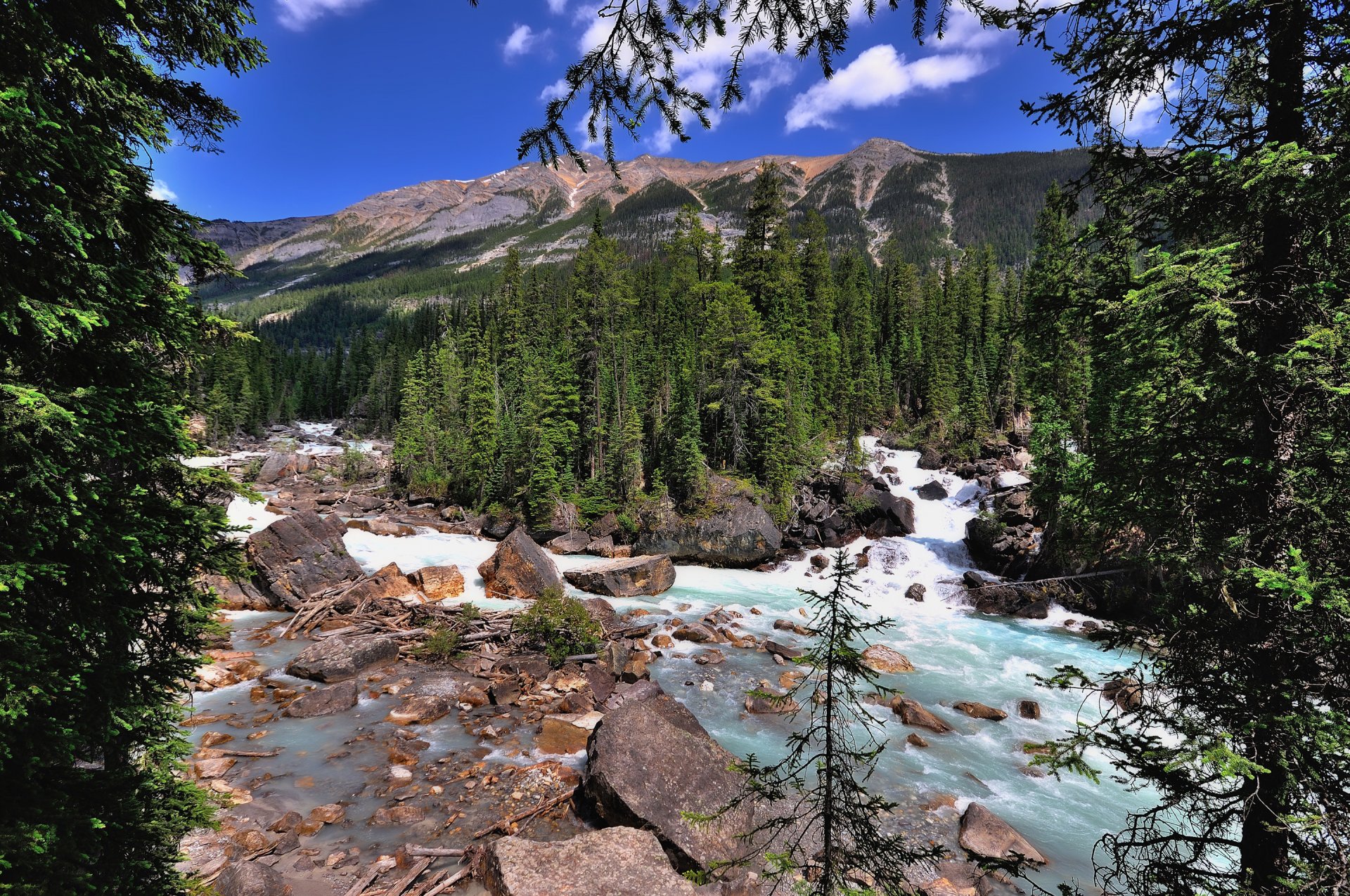 park narodowy jasper alberta kanada góry las drzewa rzeka