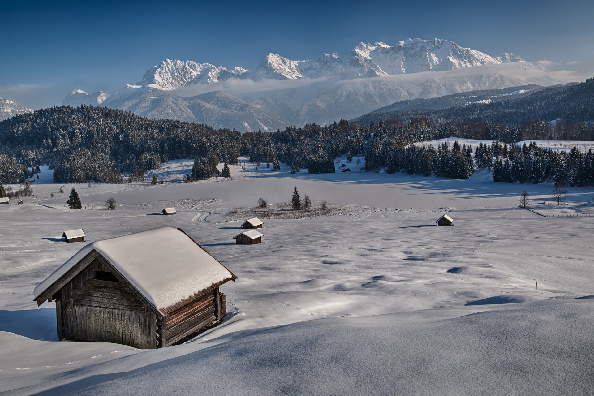 allemagne bavière montagnes alpes hiver neige pente dimic arbres