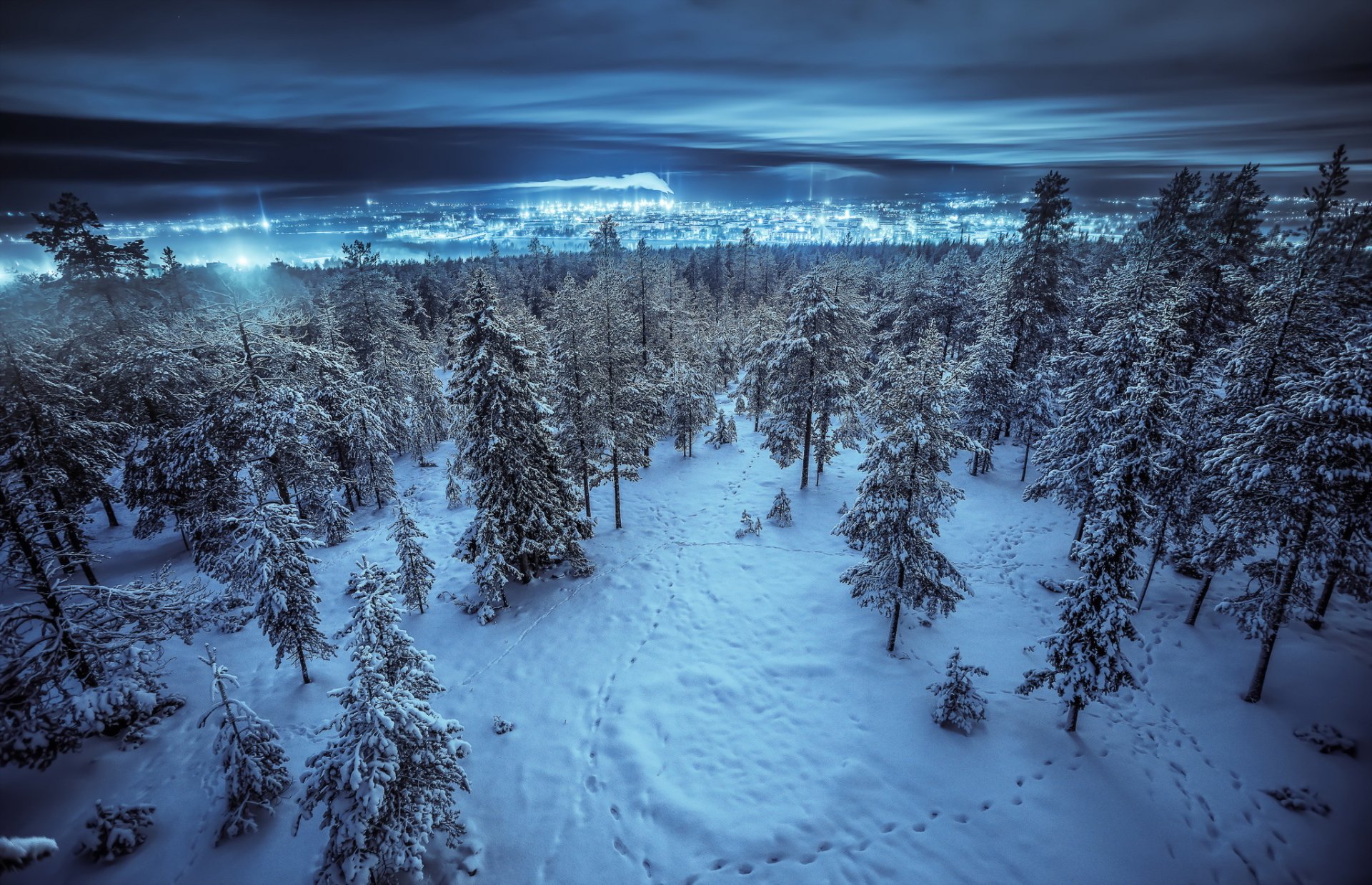 notte inverno foresta città