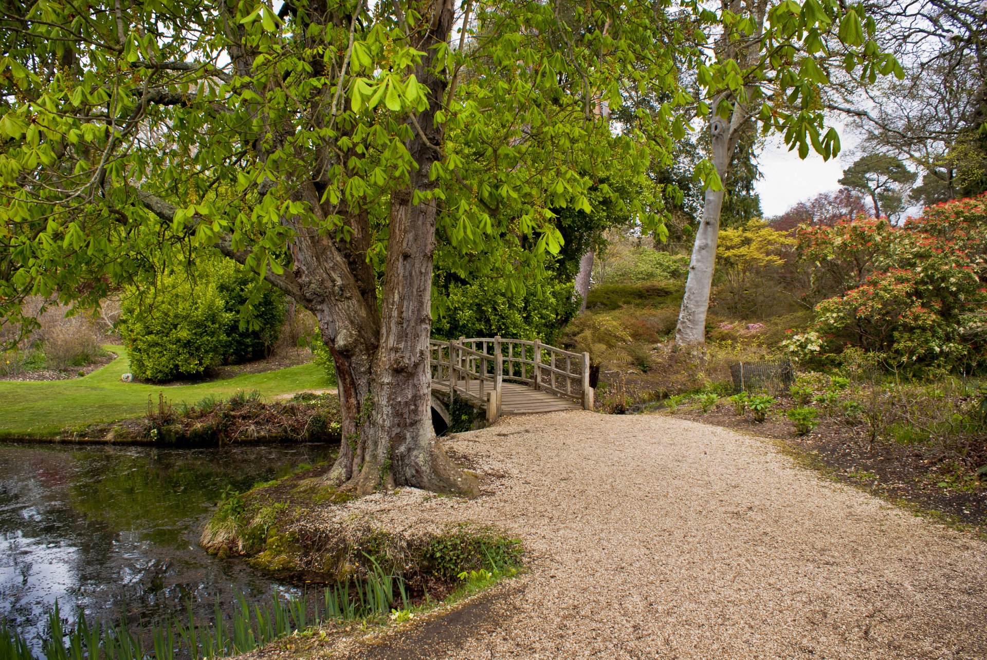 angleterre pont rivière exbury nature