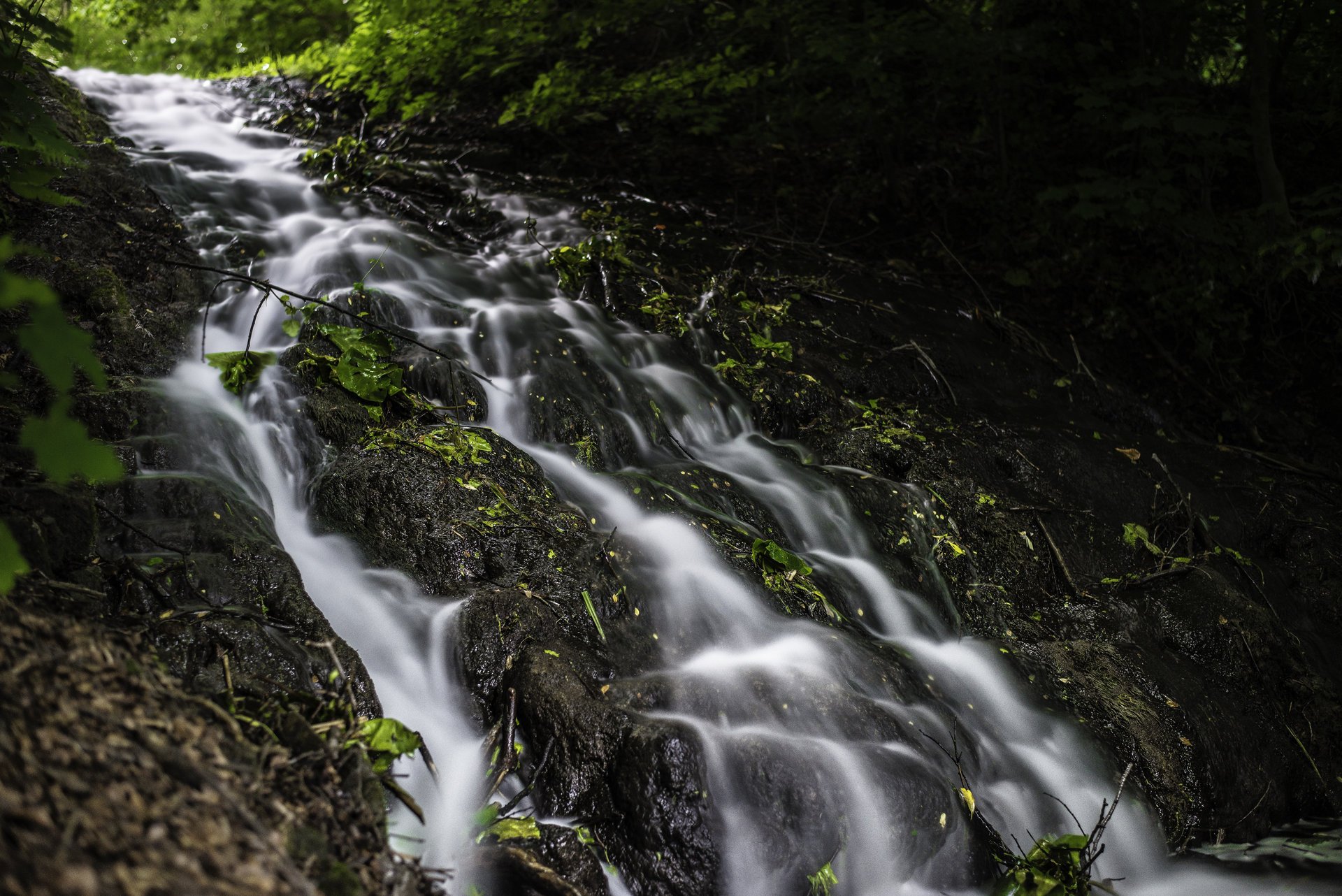 bach wasser fluss spritzer grashalme blätter