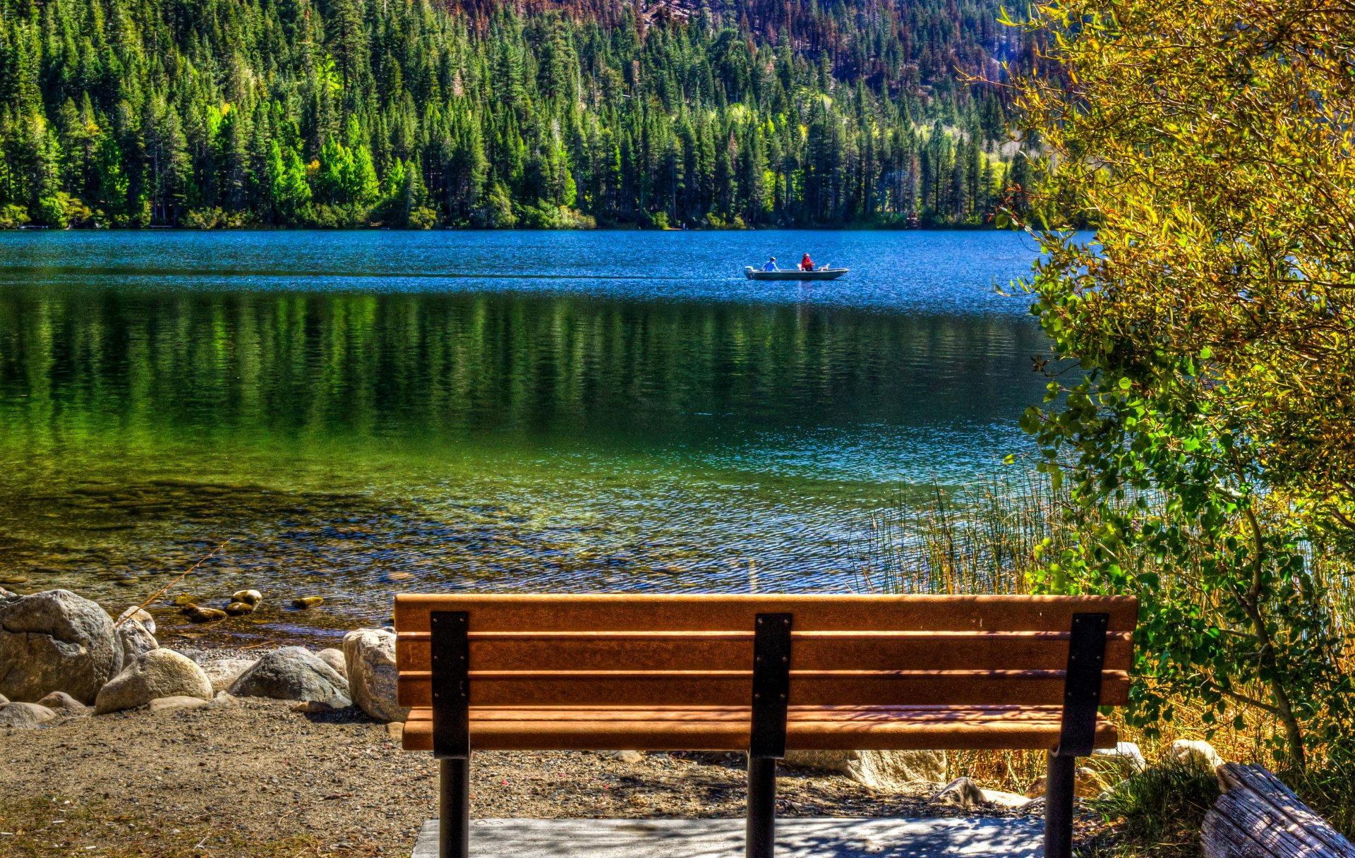 lac juin californie états-unis lac bateau forêt arbres rivage pierres banc