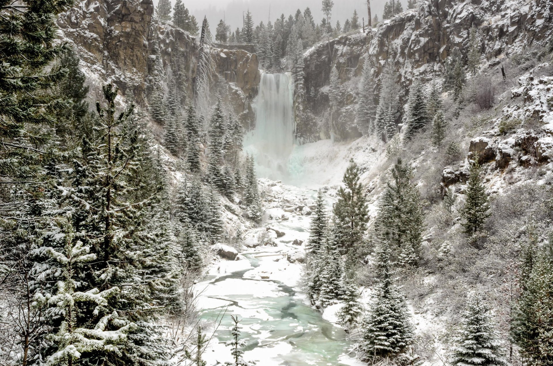 waterfall winter snow nature forest