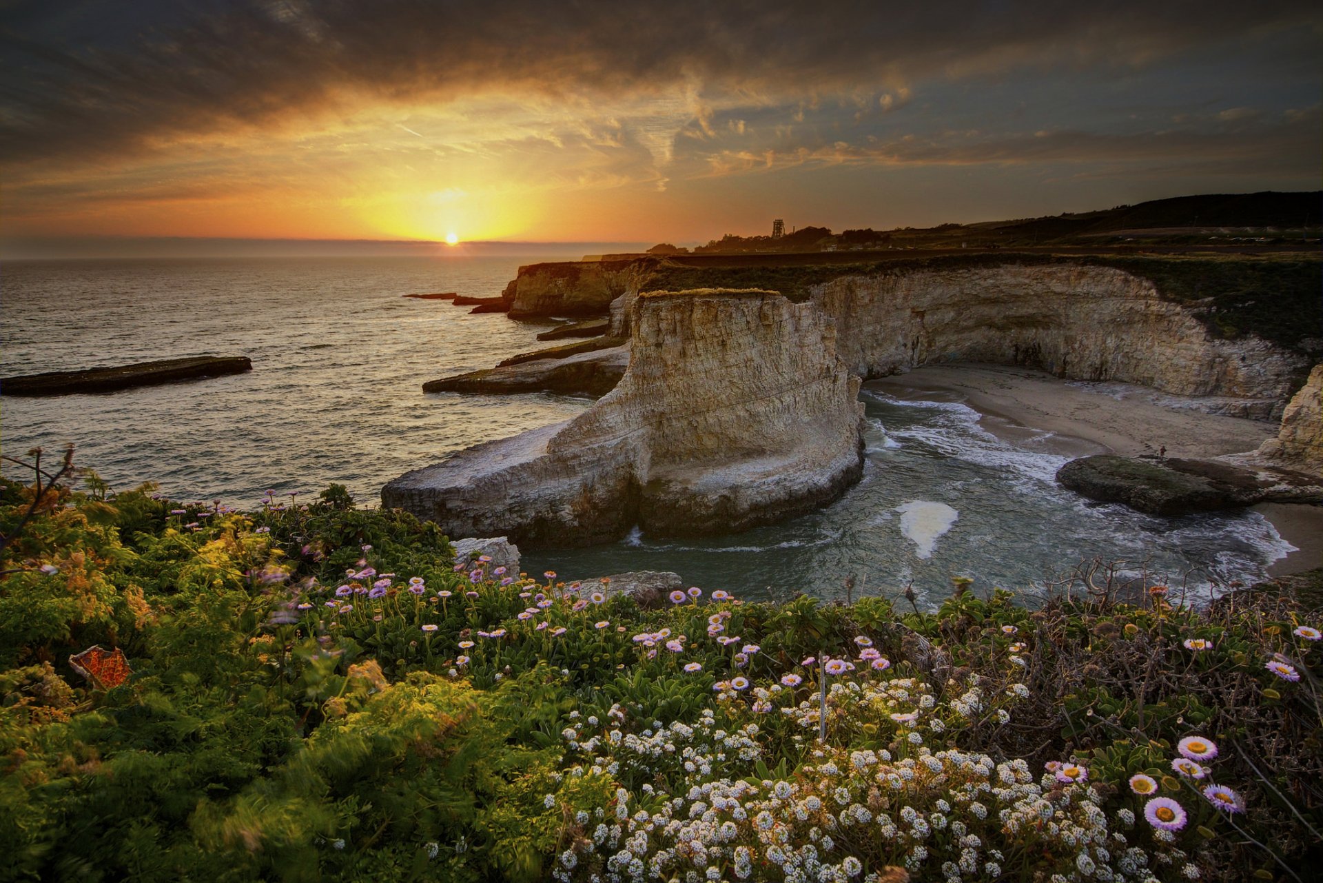 états-unis californie océan roches fleurs