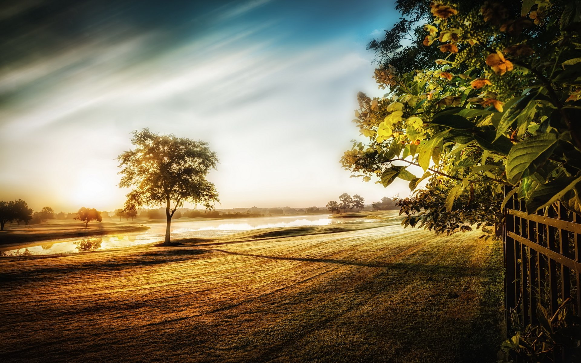 première lumière du jour nature paysage