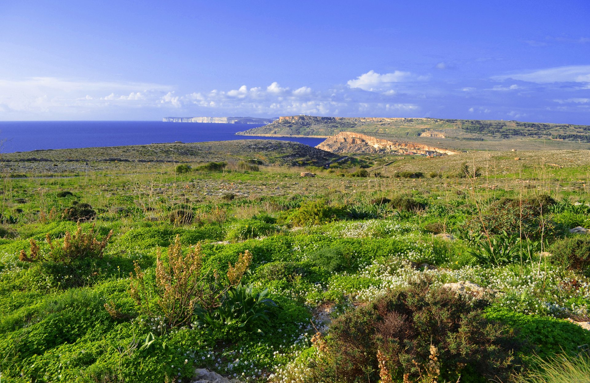 malta insel himmel wolken blumen meer gras wiese