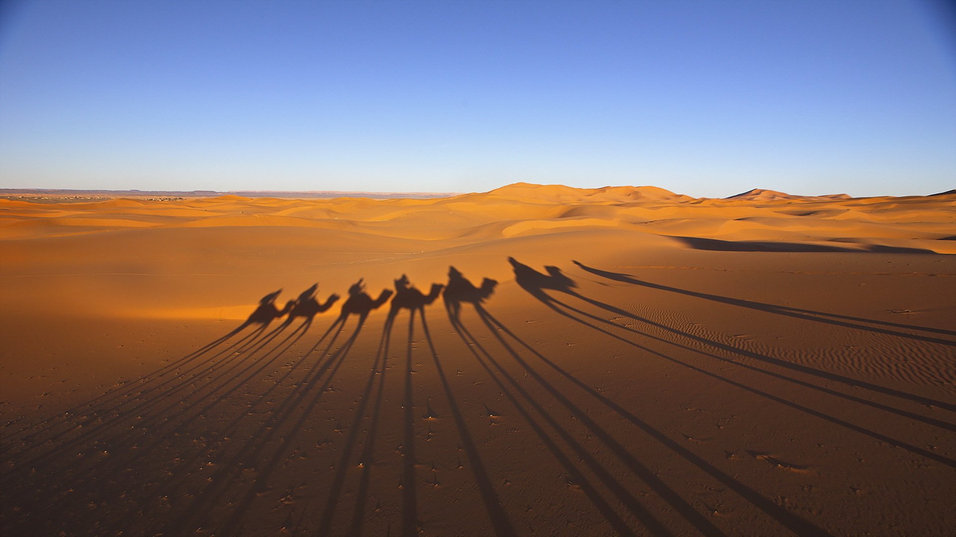 désert caravane ombres