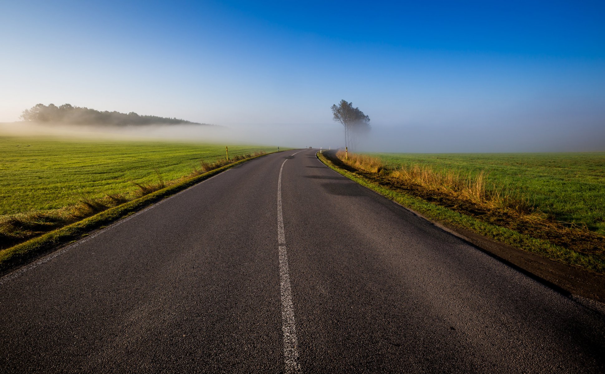 himmel morgen straße feld bäume gras nebel