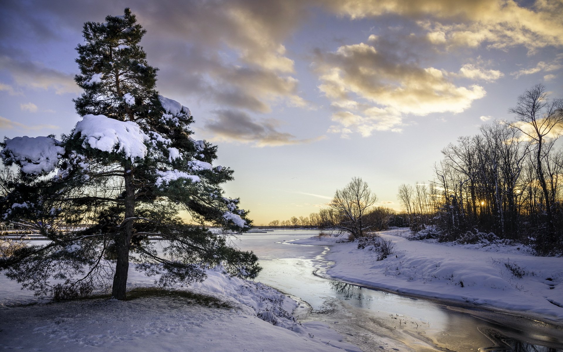 río árbol nieve