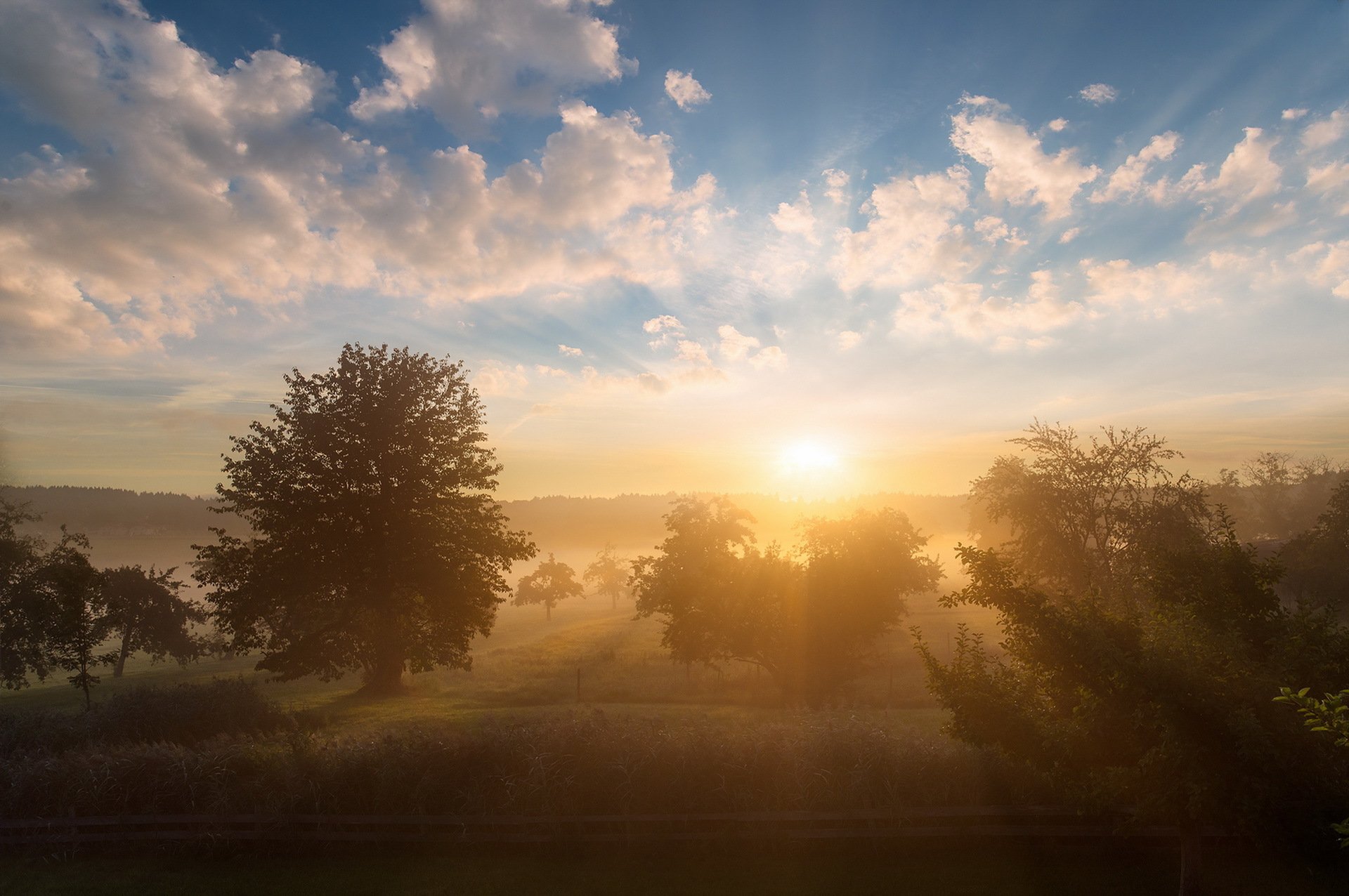 morning fog nature landscape