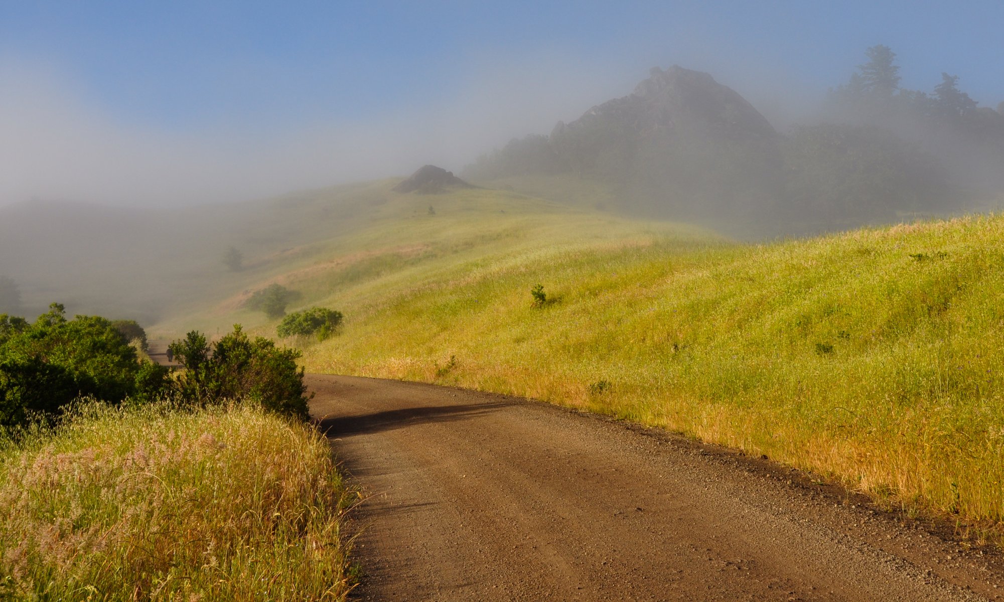 montañas mañana niebla naturaleza