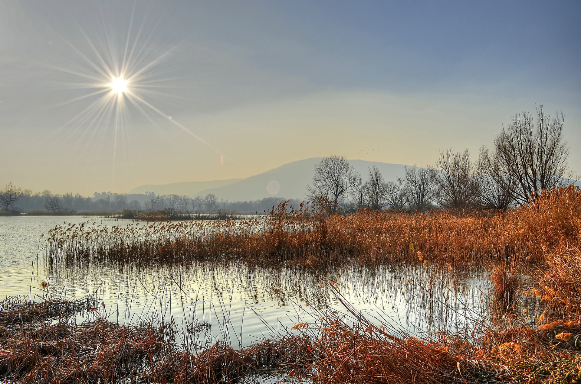 montagne lago foresta canne sole raggi tardo autunno