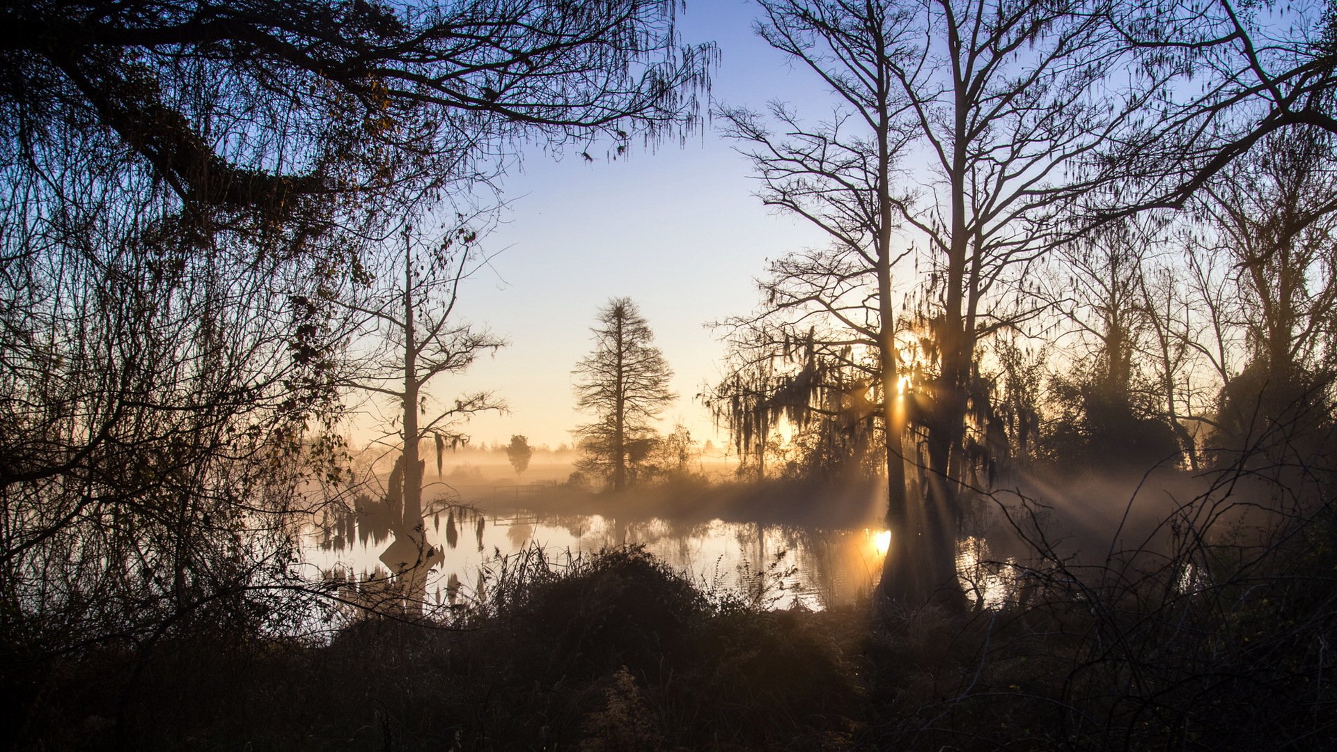 mattina lago nebbia paesaggio