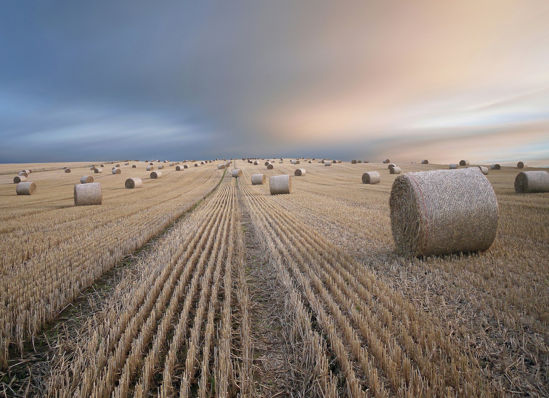 the field hay summer landscape