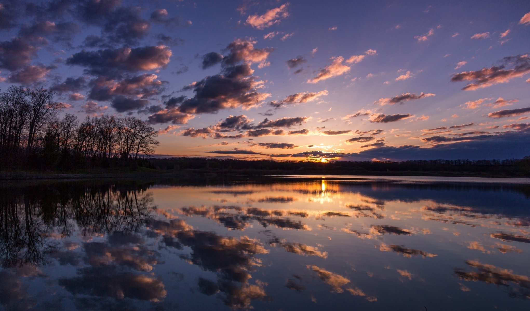 tree forest lake clouds reflection morning sunrise