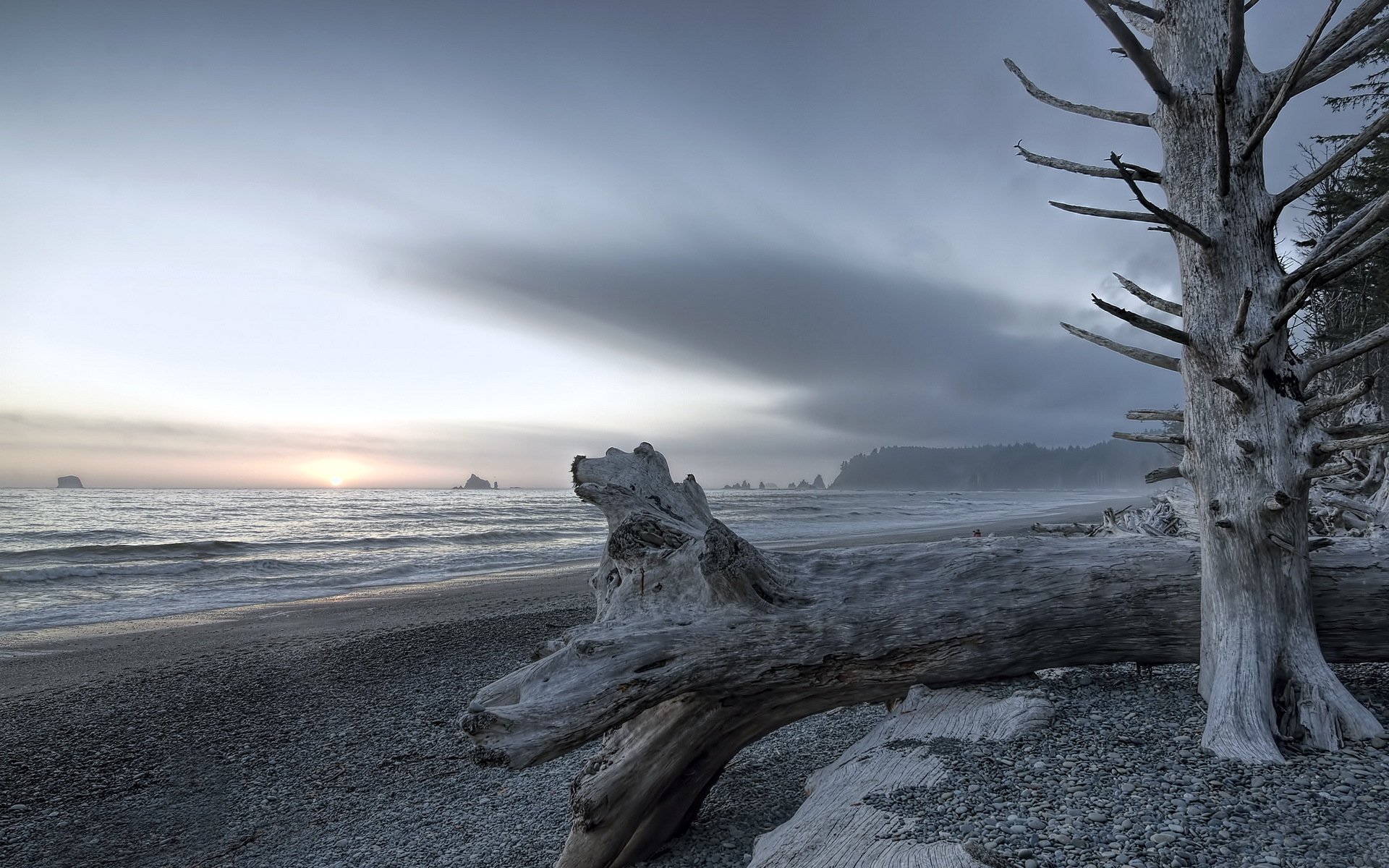 rialto strand olympischer nationalpark landschaft