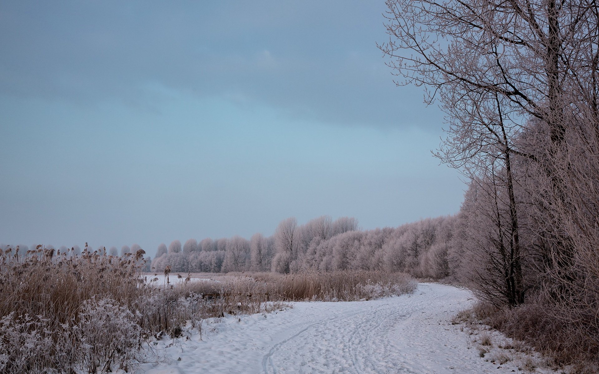 strada inverno paesaggio