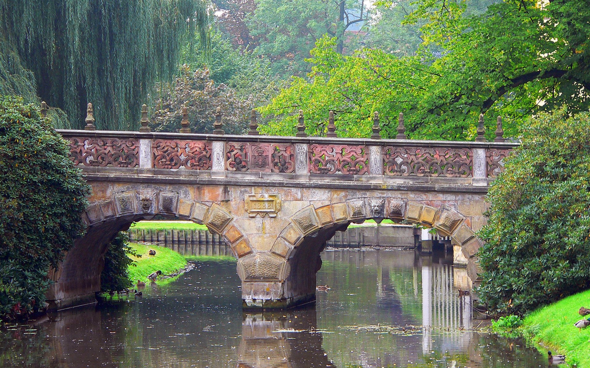 río puente parque árboles pato naturaleza