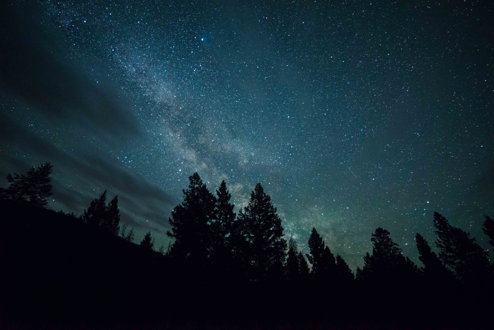 notte foresta cielo stelle via lattea