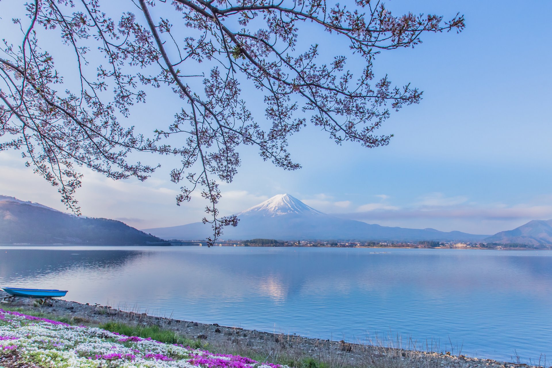 mount fuji kawaguchi-see japan fujiyama fuji berg vulkan see boot zweige blumen