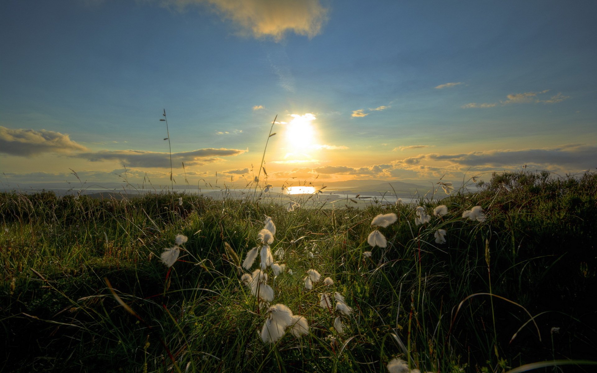 irische baumwolle meer morgen landschaft