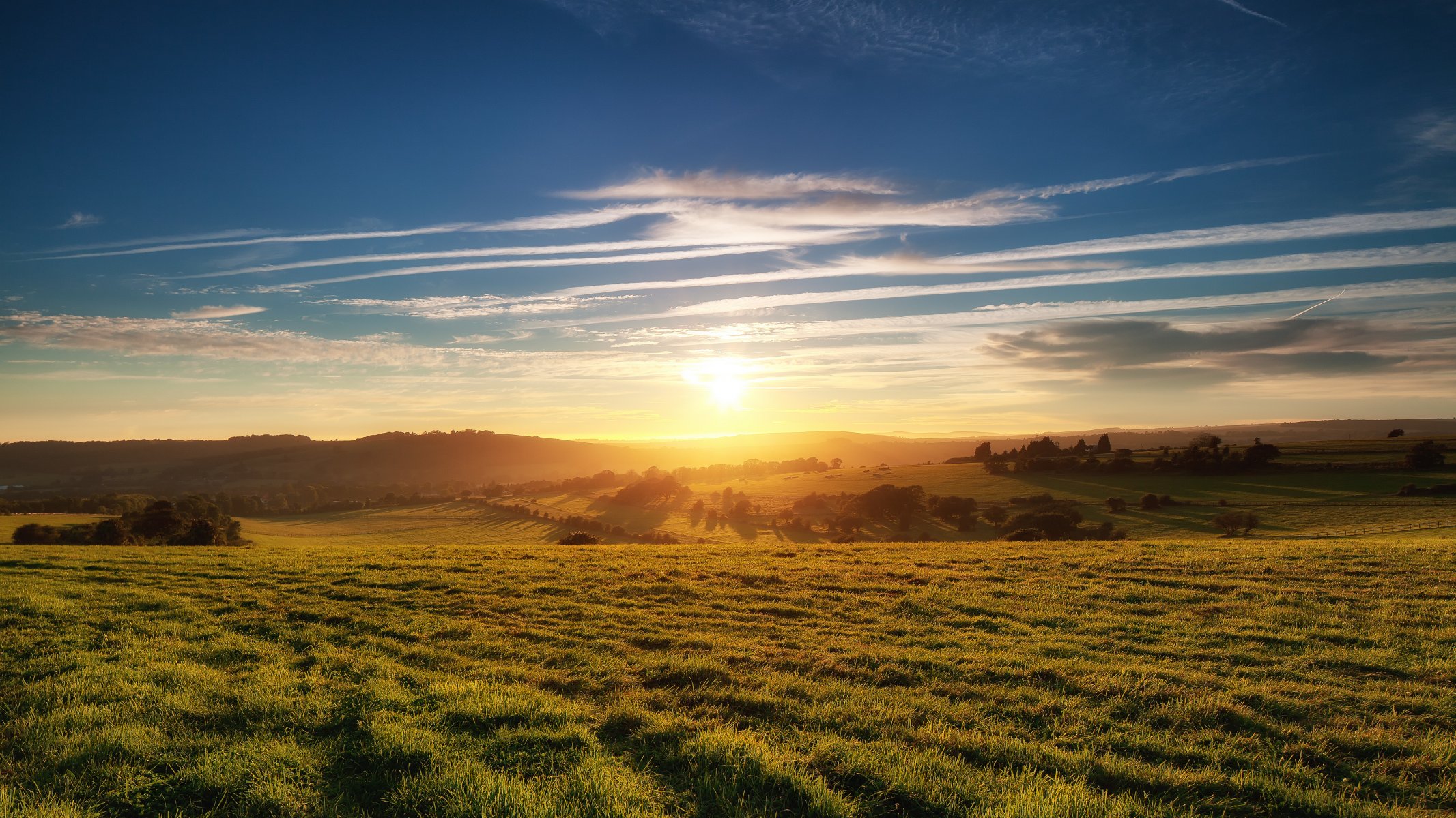 feld gras bäume sonne himmel wolken horizont