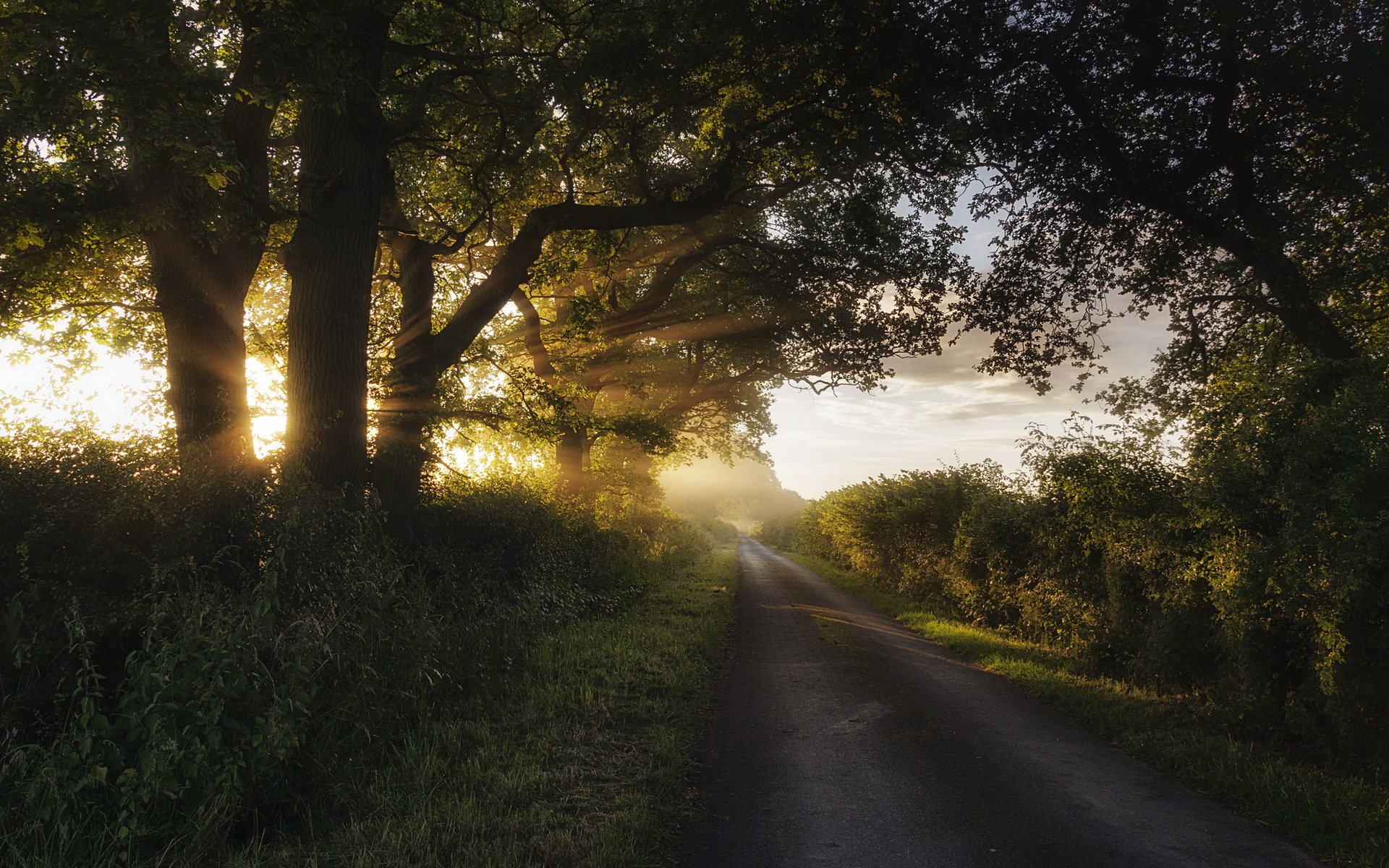 mattina strada luce paesaggio