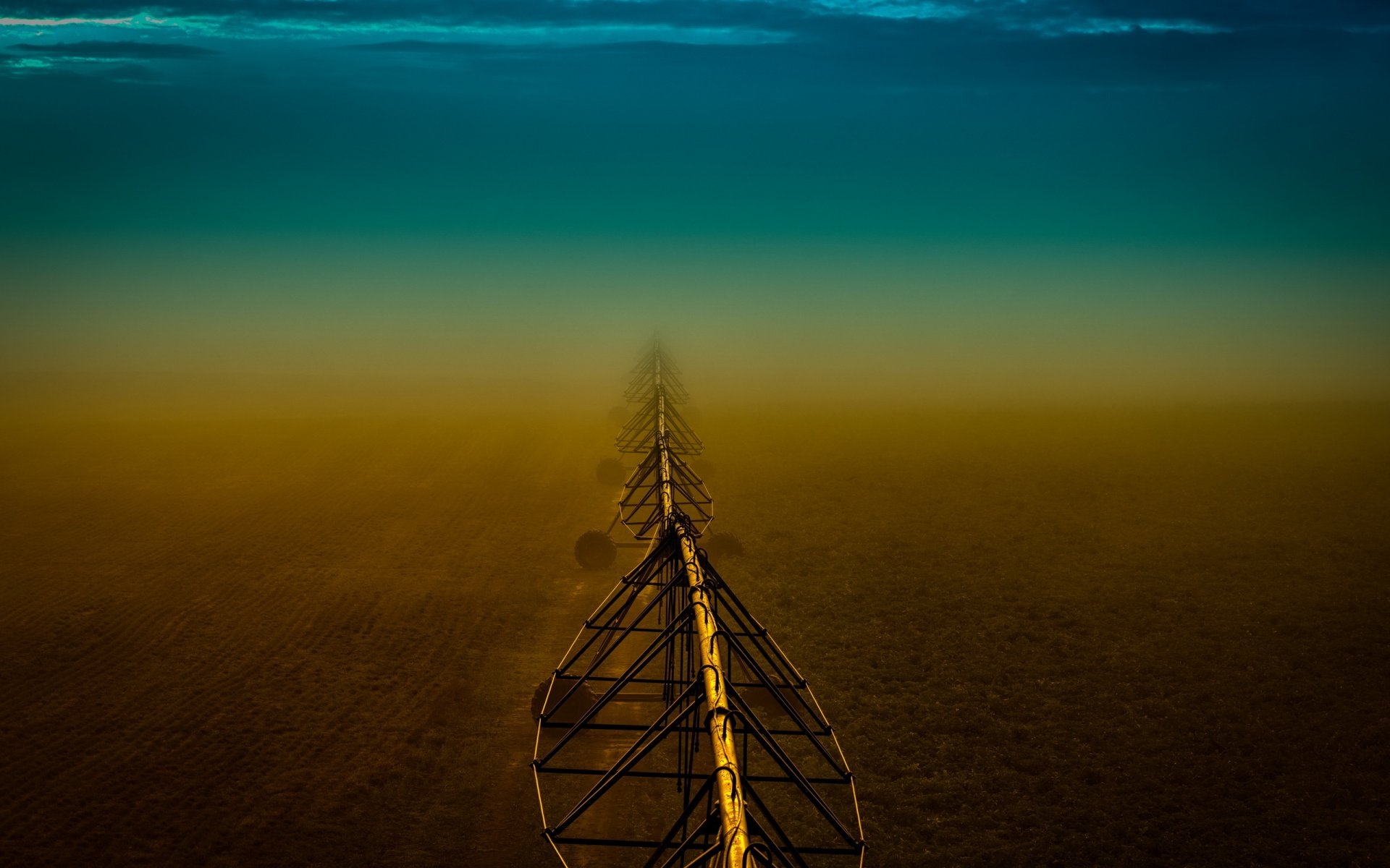 noche niebla campo