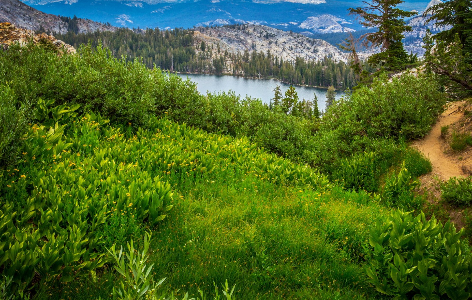 estados unidos parque nacional de yosemite california montañas lago bosque árboles hierba vegetación sendero