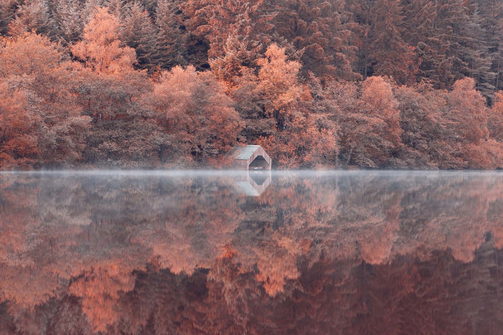 lope forest tree lake reflection