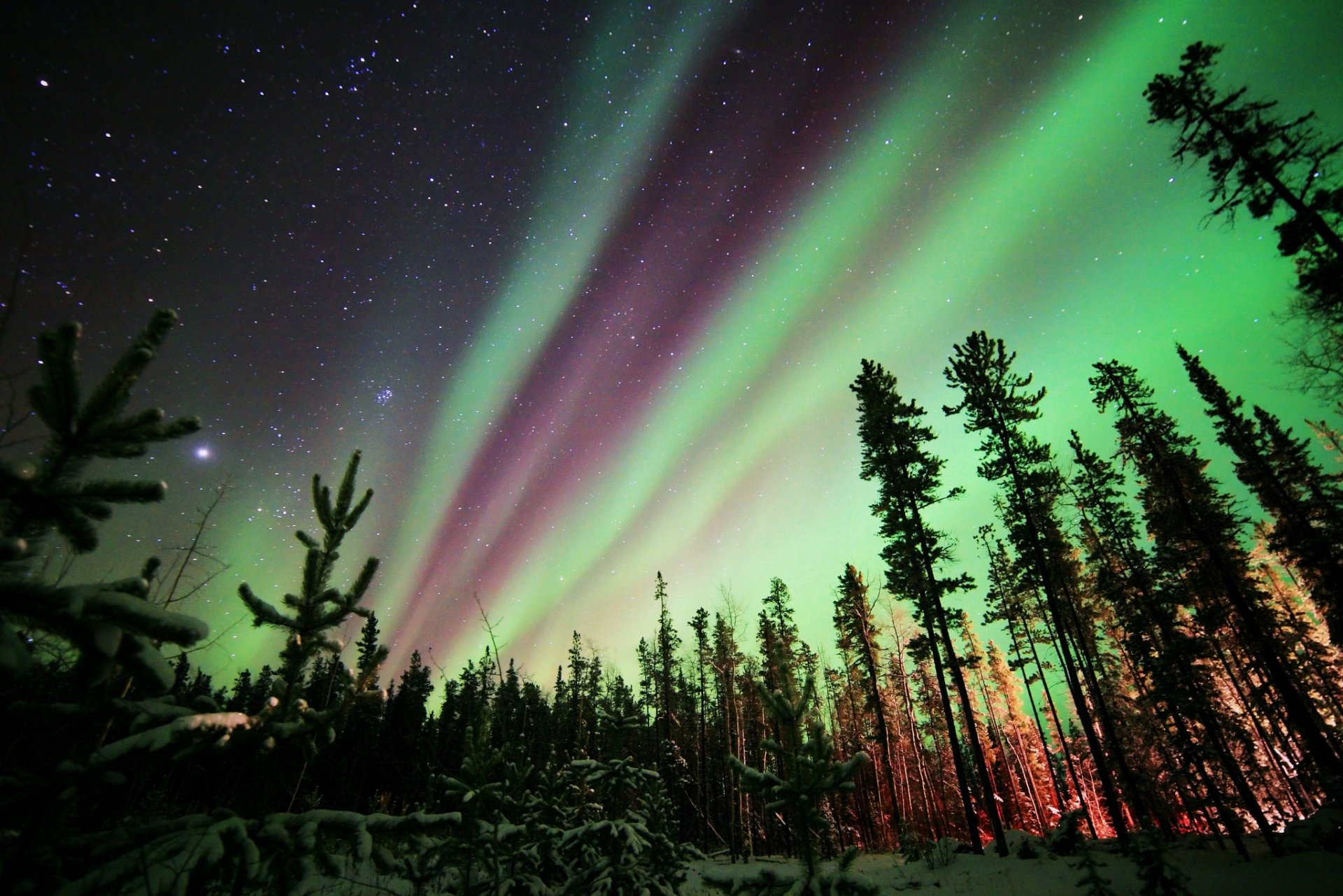 ausstrahlung nordlicht nacht natur sterne