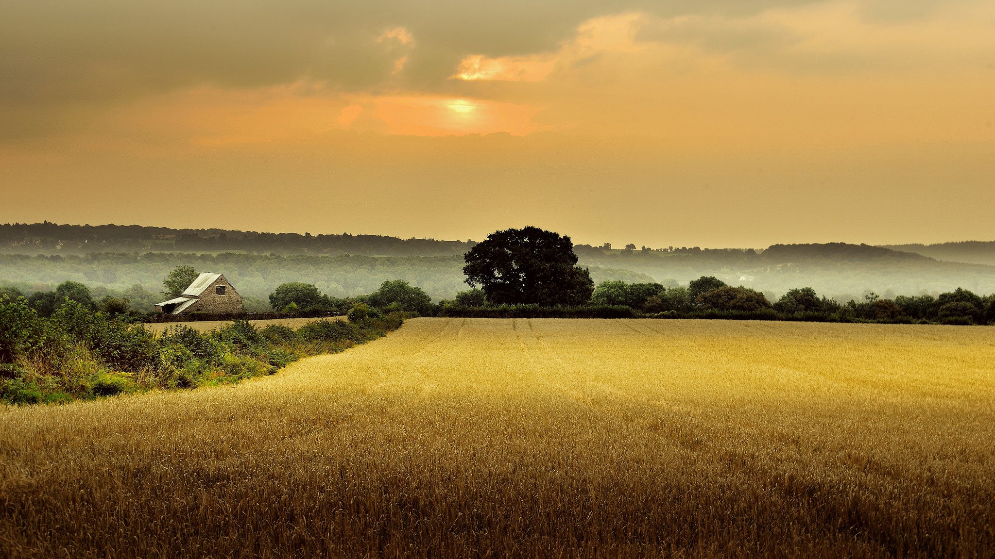 england gloucestershire haus feld bäume morgen nebel morgendämmerung