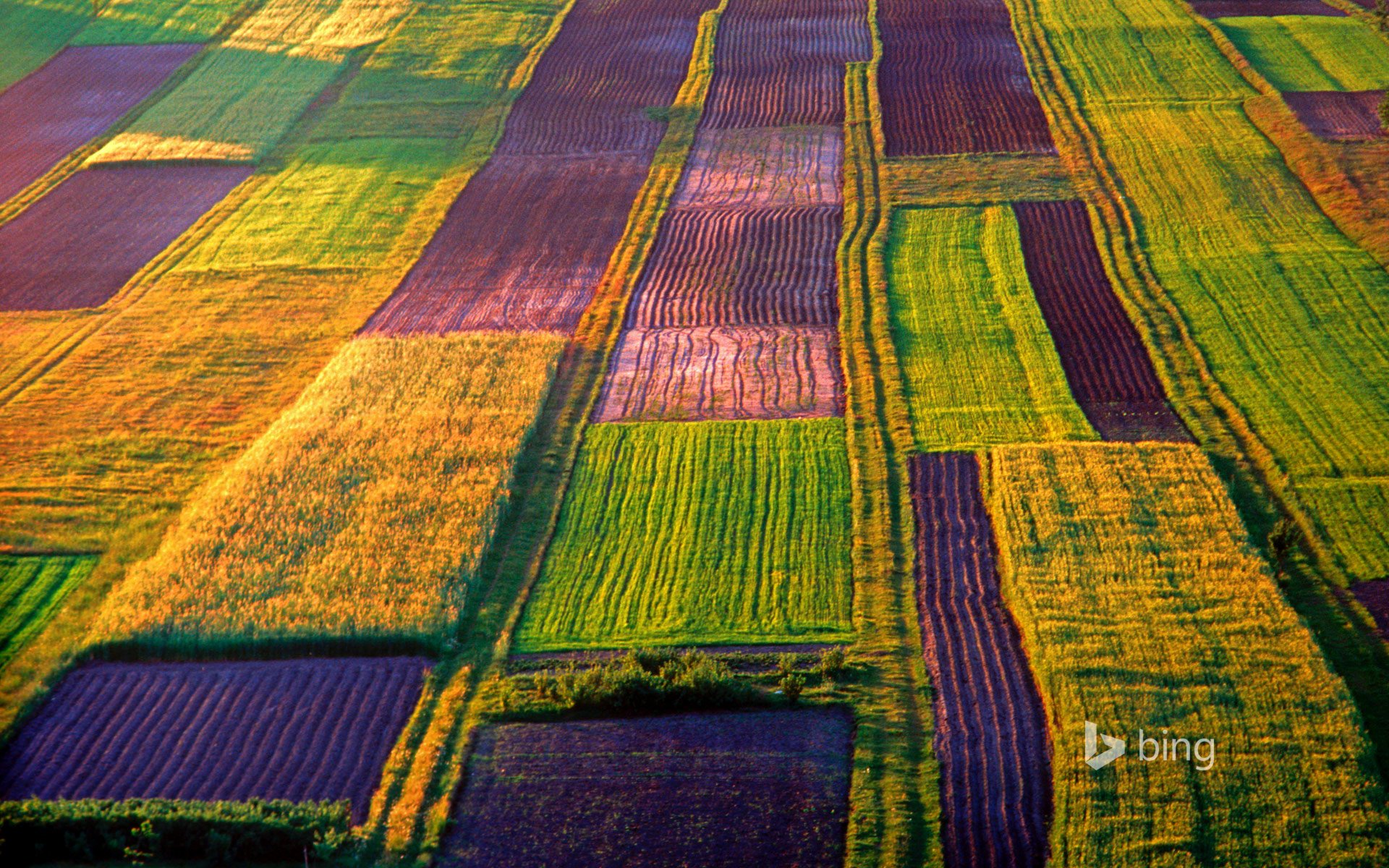 roztocze polska farma pole farby natura