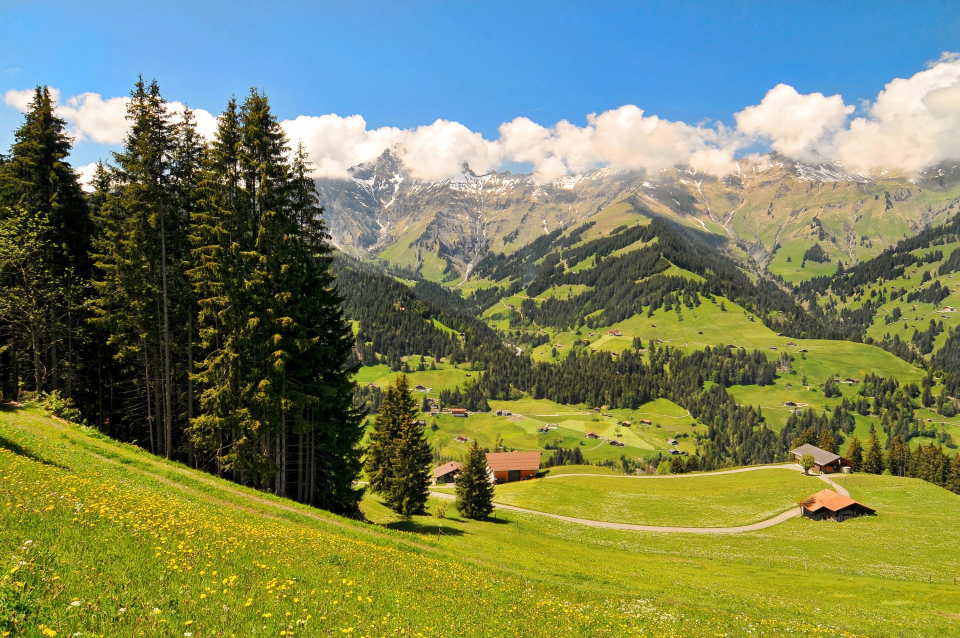 suisse oberland montagnes champs prairies maisons arbres vallée