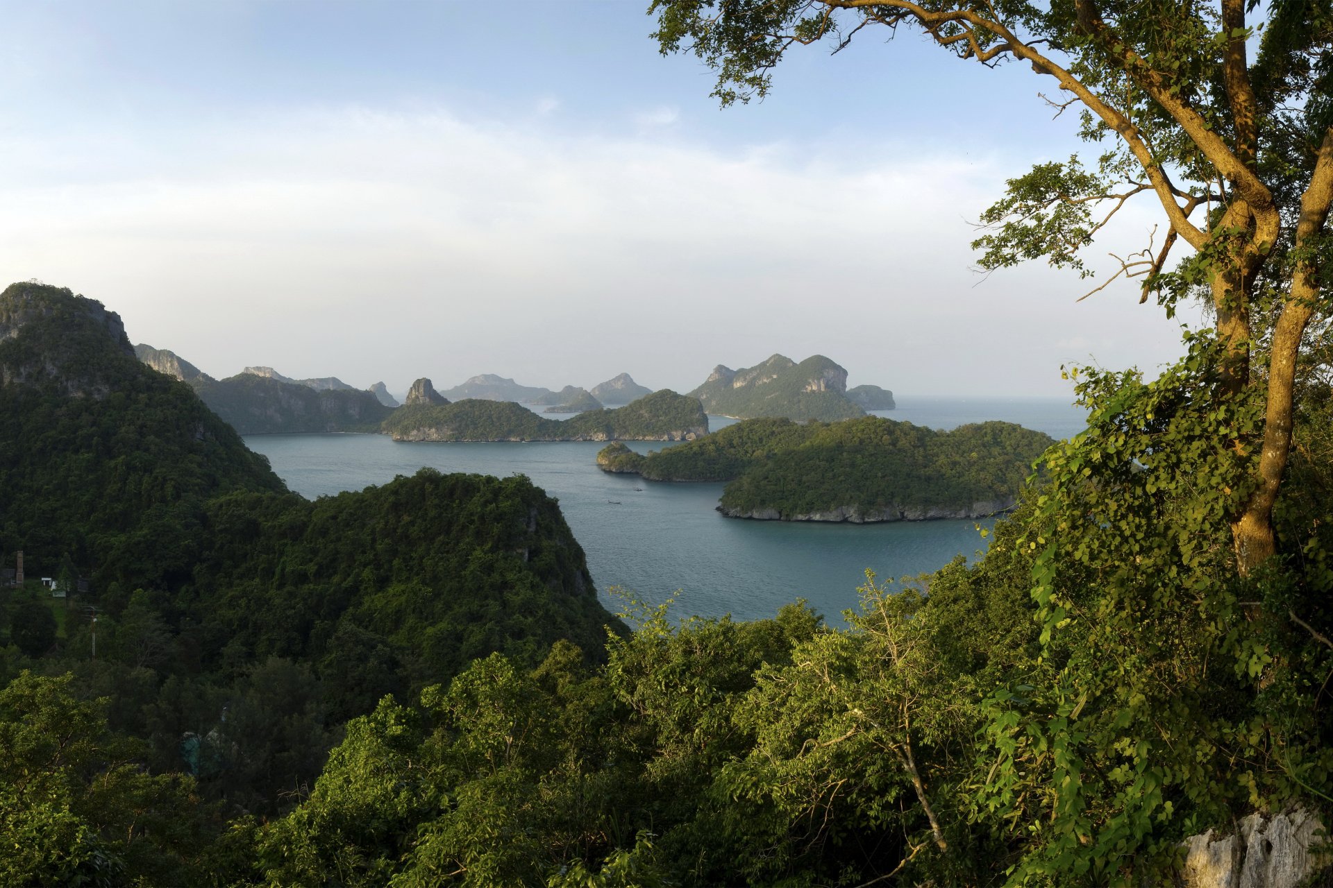 parc thaïlande paysage thung salaeng luang nature