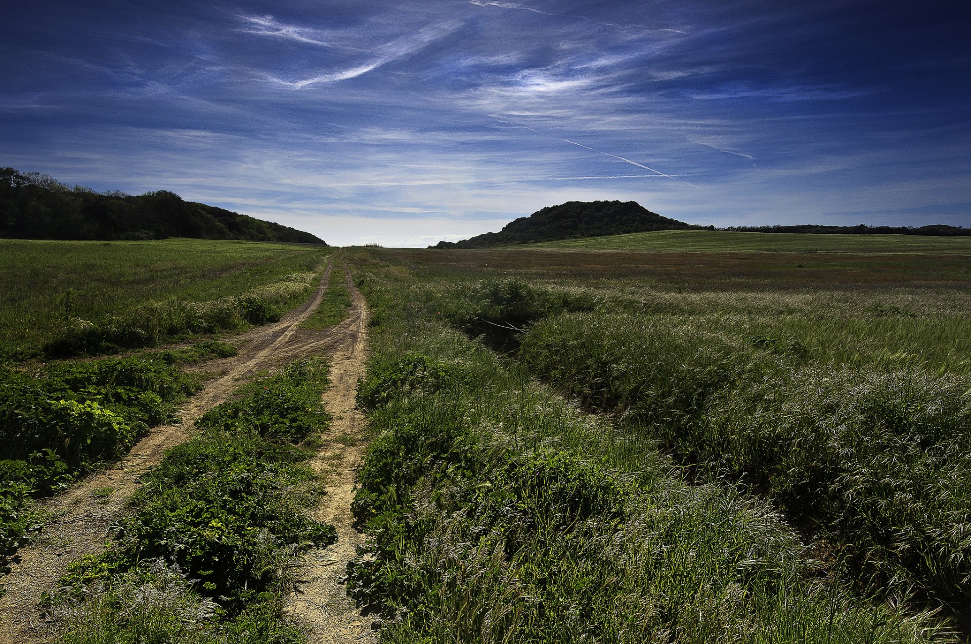 colline campo strada cielo