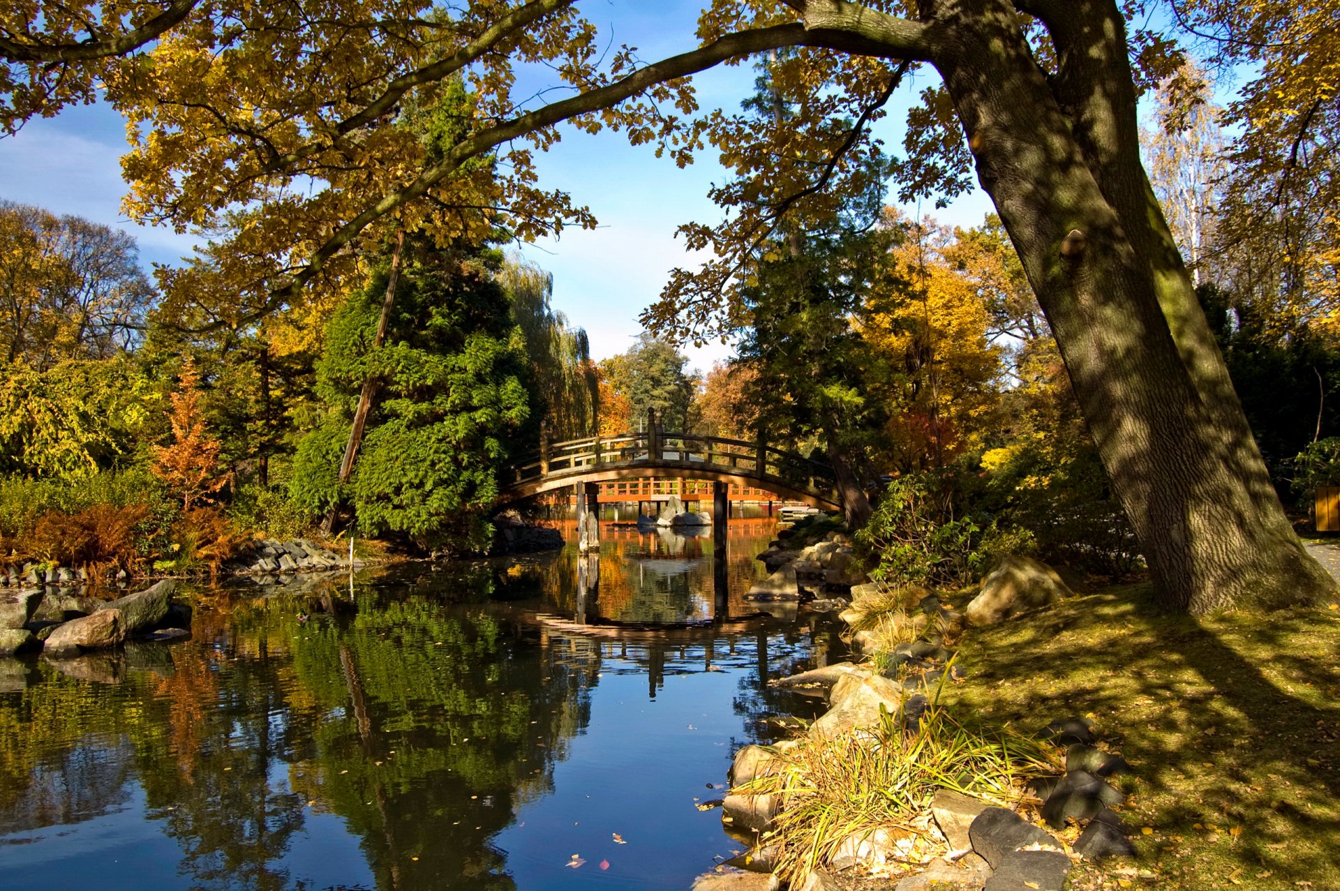 ciel parc arbres étang pont automne