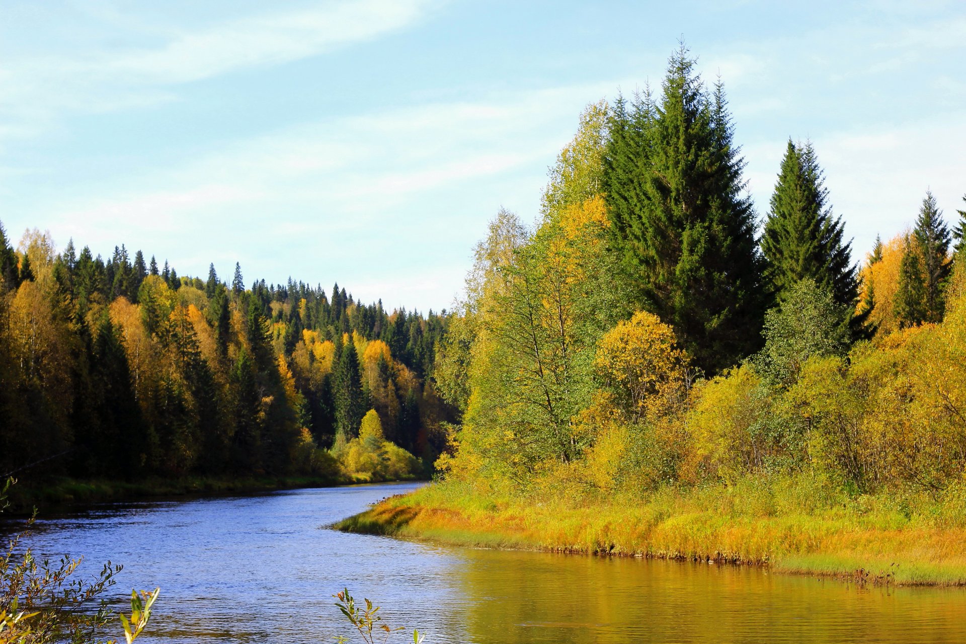 herbst wald bäume fluss küste russland region perm