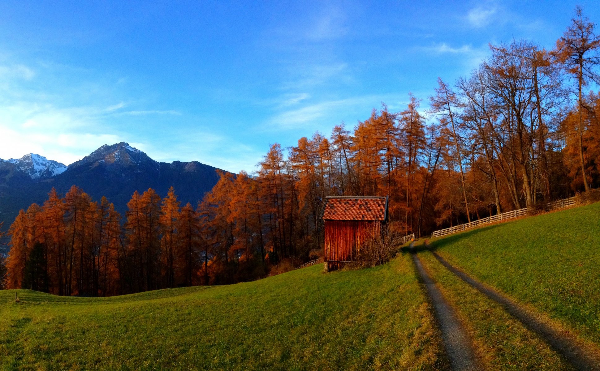 natura autunno montagne cielo nuvole rocce foresta alberi colorato strada colori passeggiata erba