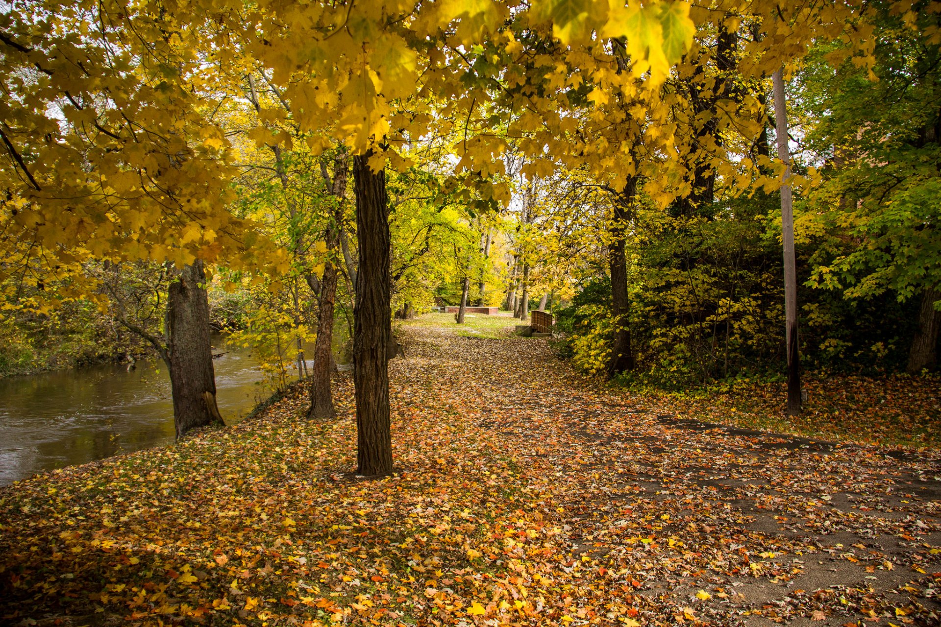 park staw ławka drzewa liście jesień