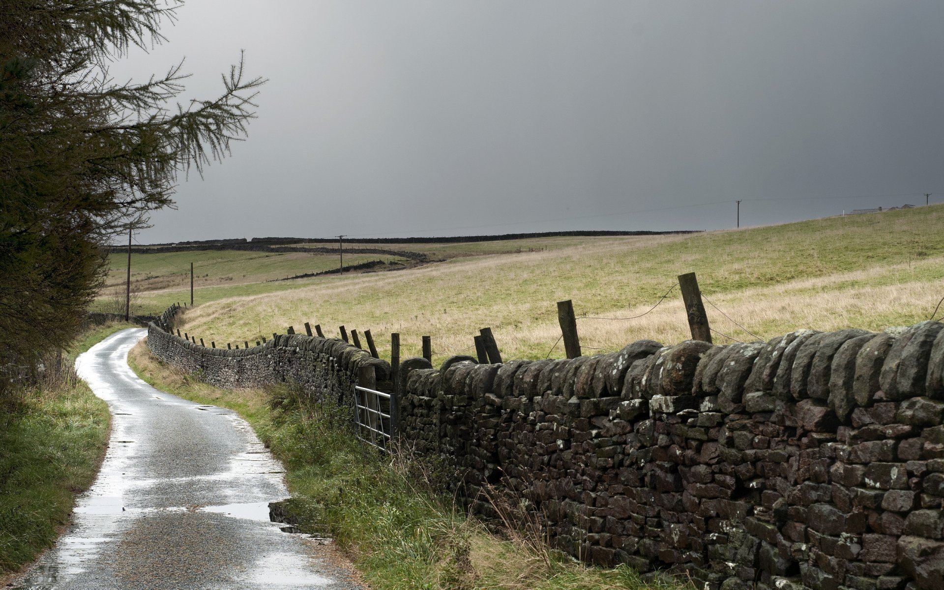 road fence landscape