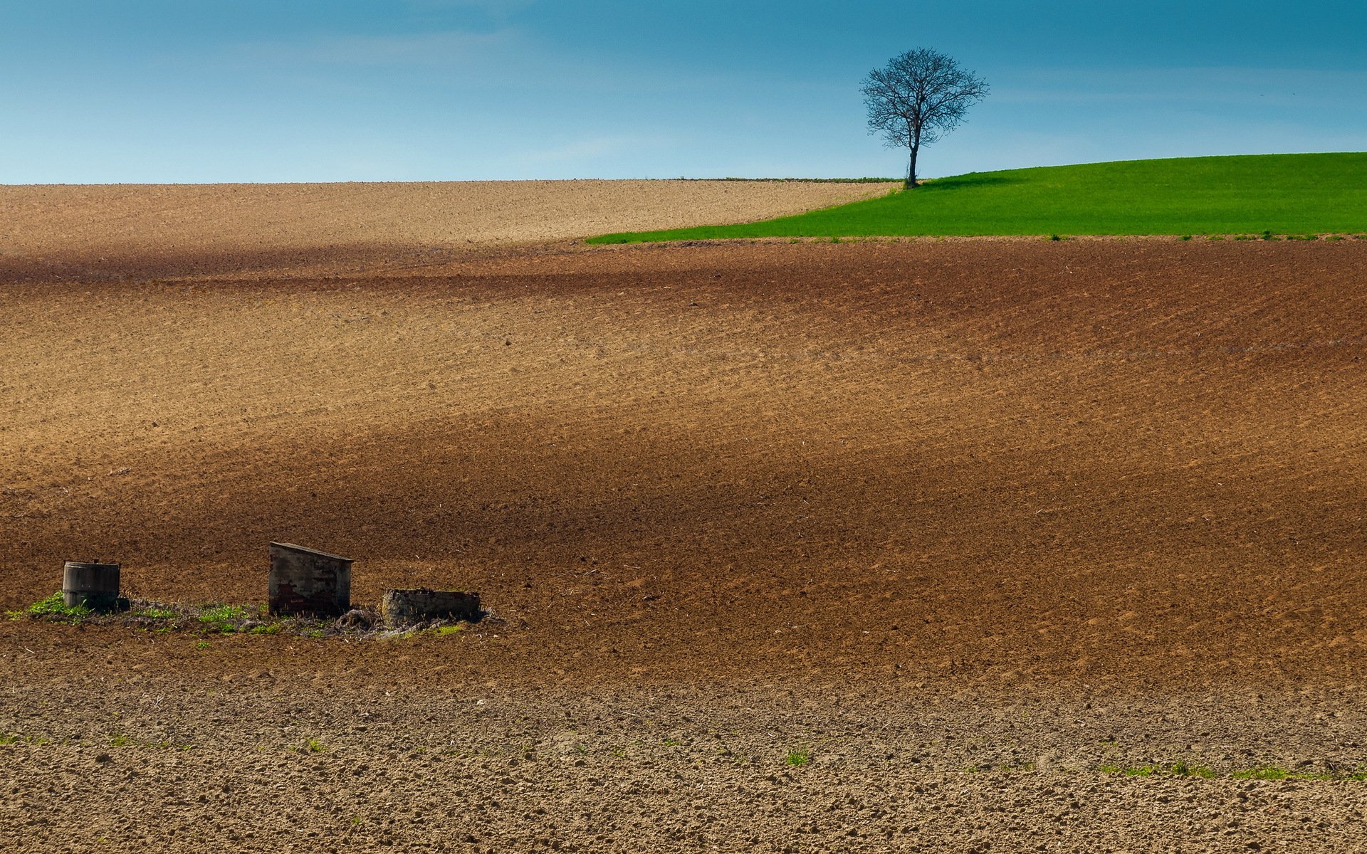 campo arado árbol paisaje