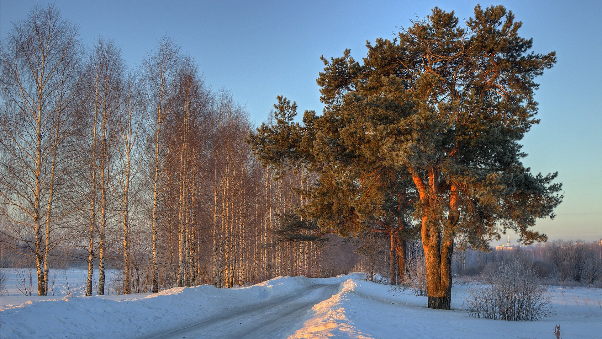 inverno alberi cumulo di neve neve strada betulle pino