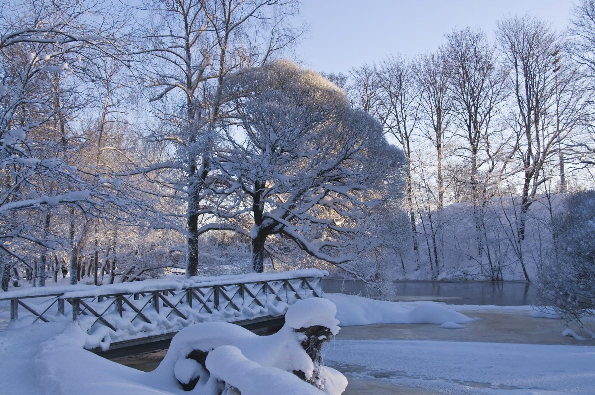 parc pont hiver neige gel nature