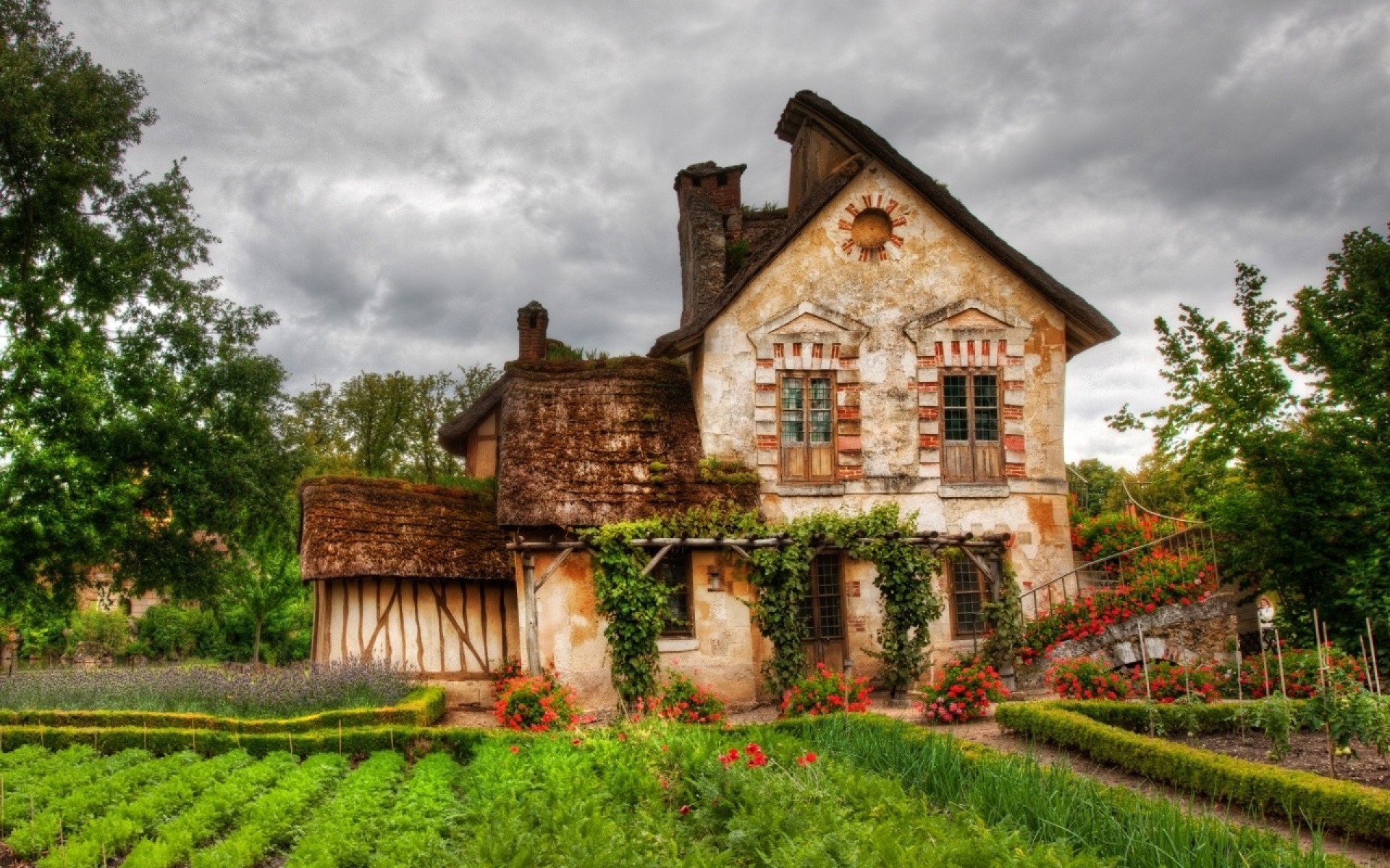 town house forest bush sky clouds nature photo