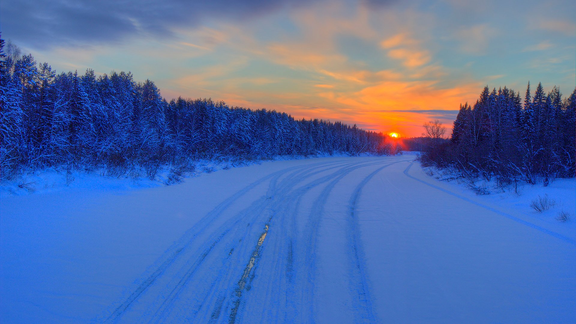 inverno foresta strada cielo nuvole tramonto bagliore