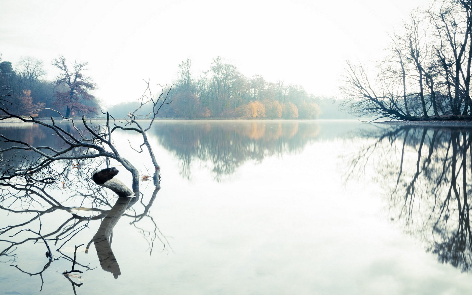 see morgen landschaft nebel